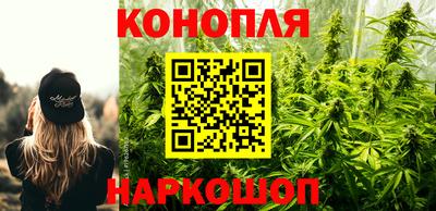 гашик Берёзовский