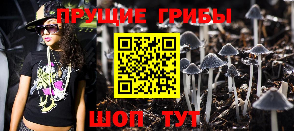 Галлюциногенные грибы Magic Shrooms Гудермес