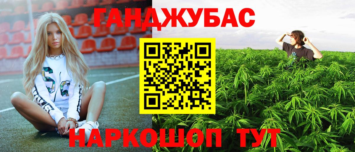 Бошки Шишки гибрид Гудермес